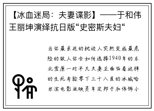 【冰血迷局：夫妻谍影】——于和伟王丽坤演绎抗日版“史密斯夫妇“