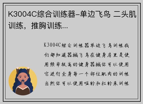 K3004C综合训练器-单边飞鸟 二头肌训练，推胸训练...